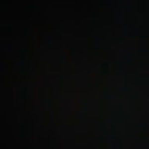 Meet your Posher, Bradan